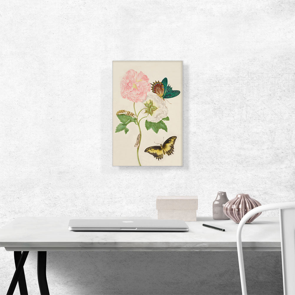 Rose Artwork With Androgeus Swallowtail Butterfly