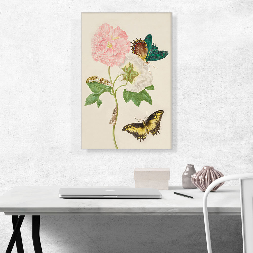 Rose Artwork With Androgeus Swallowtail Butterfly